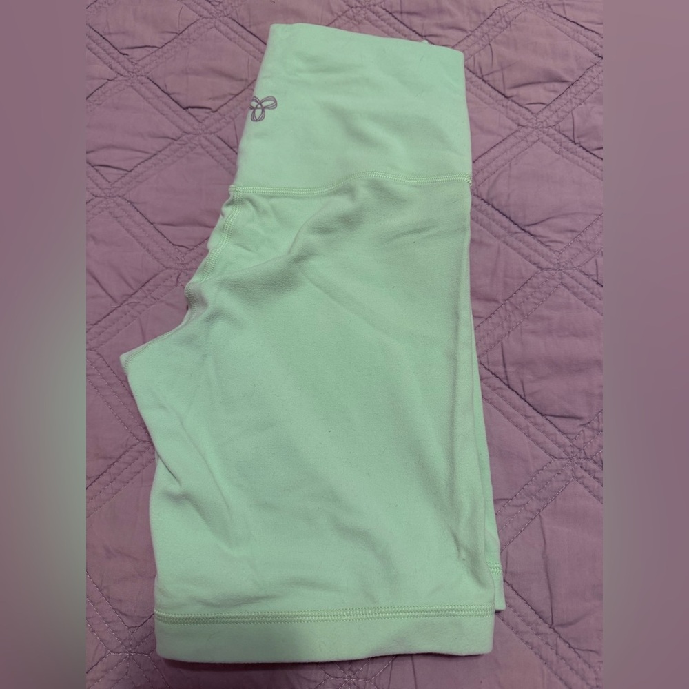 Aritzia Mint Green Leggings -